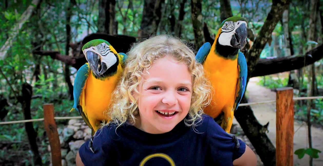 image n.3 of Akumal: Akumal Monkey Sanctuary Tour activity in Akumal, uploaded by supplier