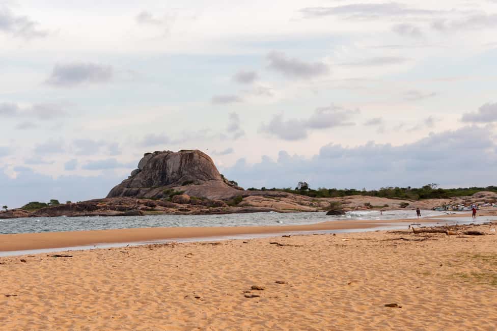 image n.2 of Galle/Unawatuna/Weligama/Mirissa: Yala National Park Safari activity in Hambantota, uploaded by supplier