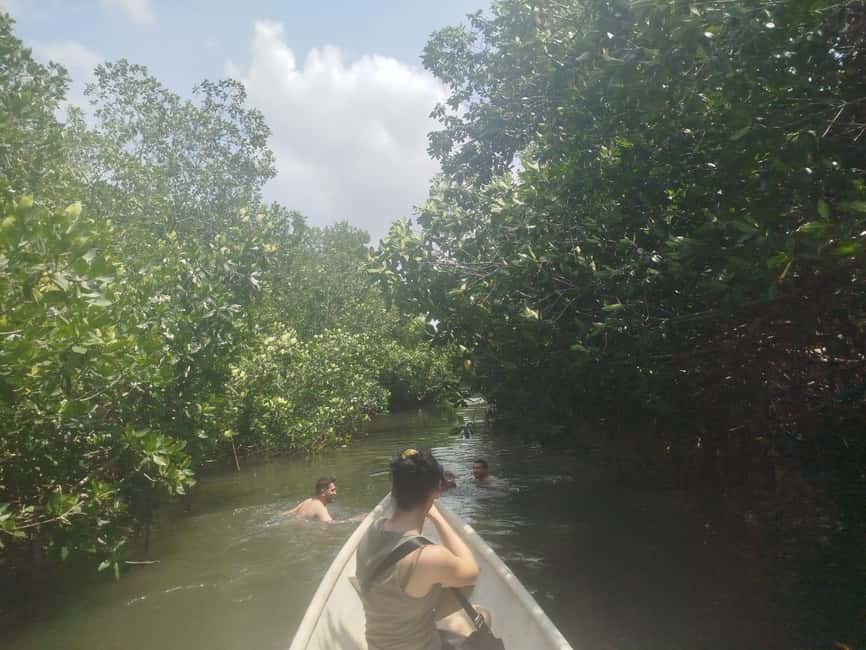 image n.28 of Cartagena: Private Sail in the mangrove GUIDE in ENGLISH activity in Cartagena, uploaded by supplier