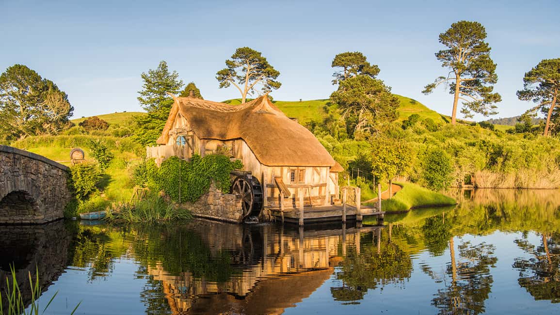 image n.9 of From Auckland: Hobbiton and Waitomo Caves Small Group Tour activity in Waitomo, uploaded by supplier