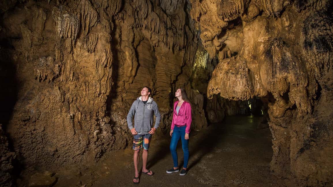image n.14 of From Auckland: Hobbiton and Waitomo Caves Small Group Tour activity in Waitomo, uploaded by supplier