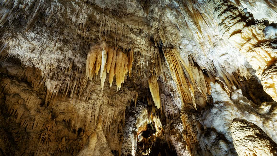 image n.6 of From Auckland: Hobbiton and Waitomo Caves Small Group Tour activity in Waitomo, uploaded by supplier