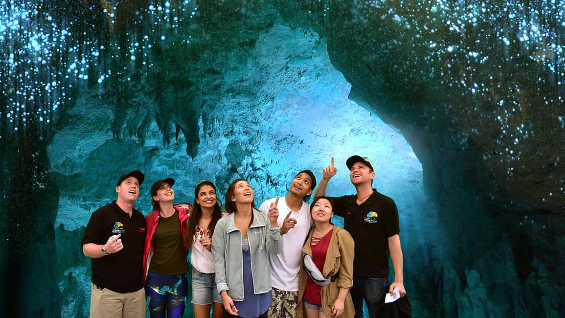 image n.8 of From Auckland: Hobbiton and Waitomo Caves Small Group Tour activity in Waitomo, uploaded by supplier