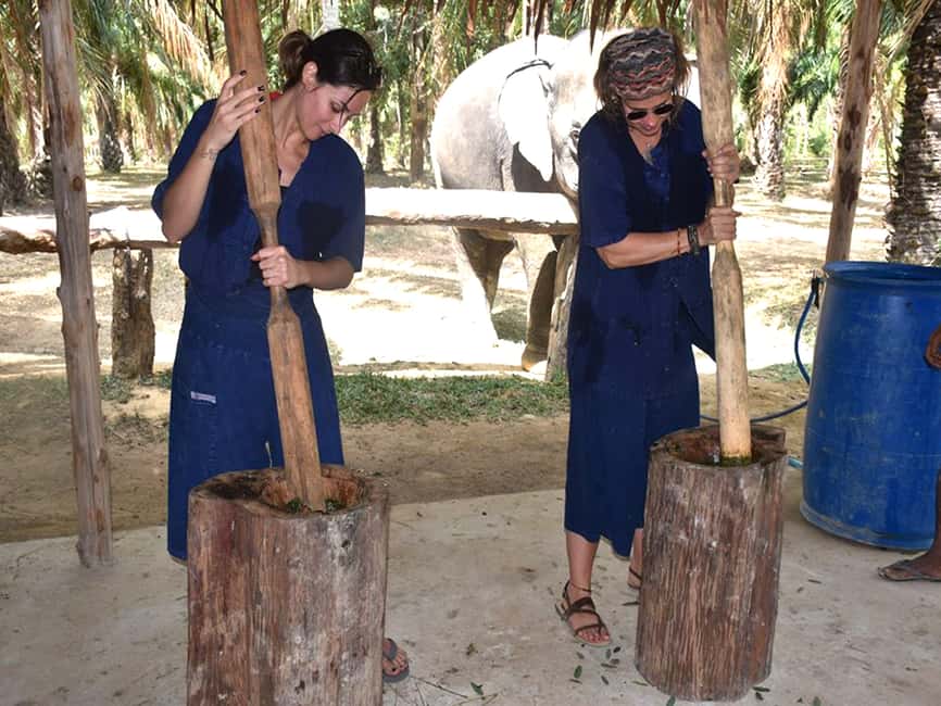 image n.8 of Ko Lanta Yai: Half-Day Ethical Elephant Sanctuary Tour activity in Gulf of Thailand, uploaded by supplier