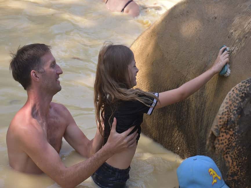 image n.10 of Ko Lanta Yai: Half-Day Ethical Elephant Sanctuary Tour activity in Gulf of Thailand, uploaded by supplier