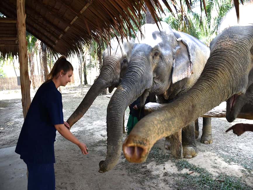 image n.9 of Ko Lanta Yai: Half-Day Ethical Elephant Sanctuary Tour activity in Gulf of Thailand, uploaded by supplier