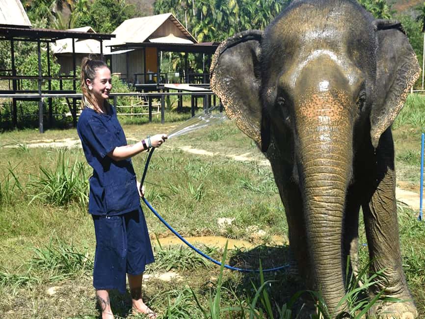 image n.11 of Ko Lanta Yai: Half-Day Ethical Elephant Sanctuary Tour activity in Gulf of Thailand, uploaded by supplier