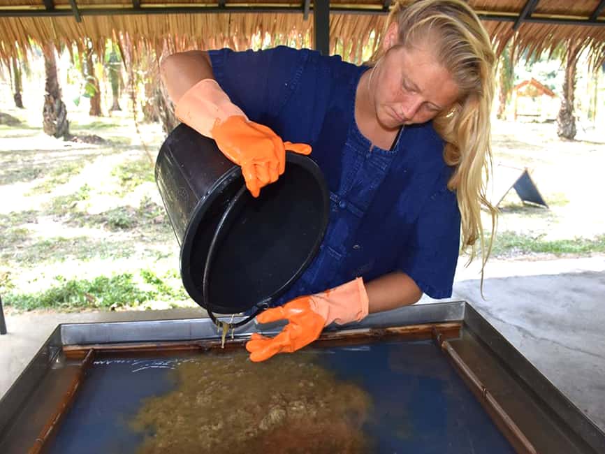 image n.12 of Ko Lanta Yai: Half-Day Ethical Elephant Sanctuary Tour activity in Gulf of Thailand, uploaded by supplier