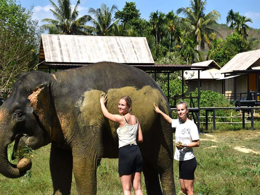 image n.13 of Ko Lanta Yai: Half-Day Ethical Elephant Sanctuary Tour activity in Gulf of Thailand, uploaded by supplier
