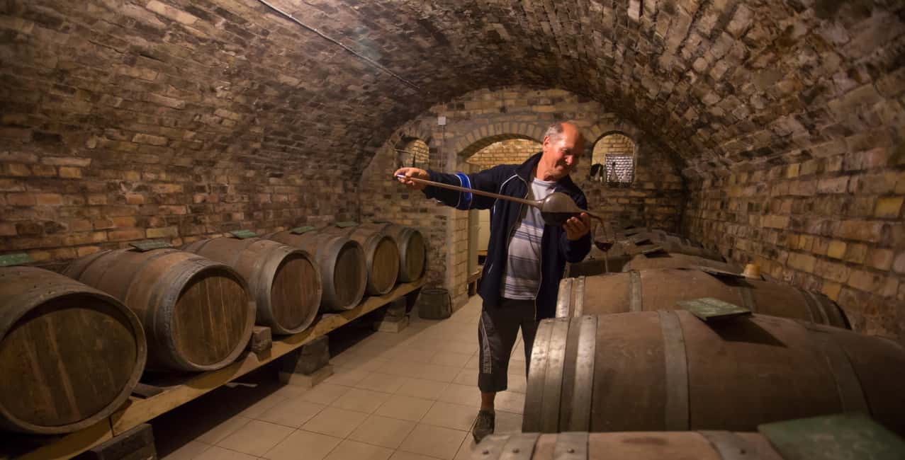 image n.7 of From Belgrade: Novi Sad and Sremski Karlovci Tour activity in Beocin, uploaded by supplier