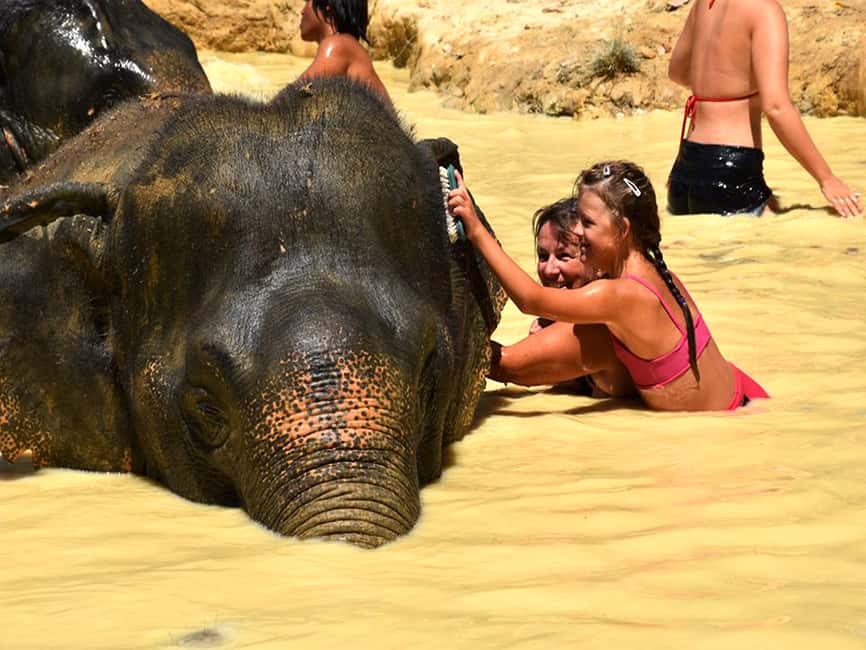 image n.15 of Ko Lanta Yai: Half-Day Ethical Elephant Sanctuary Tour activity in Gulf of Thailand, uploaded by supplier