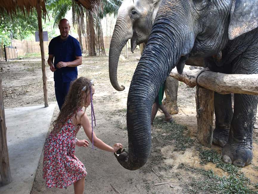 image n.17 of Ko Lanta Yai: Half-Day Ethical Elephant Sanctuary Tour activity in Gulf of Thailand, uploaded by supplier
