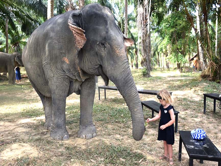 image n.18 of Ko Lanta Yai: Half-Day Ethical Elephant Sanctuary Tour activity in Gulf of Thailand, uploaded by supplier