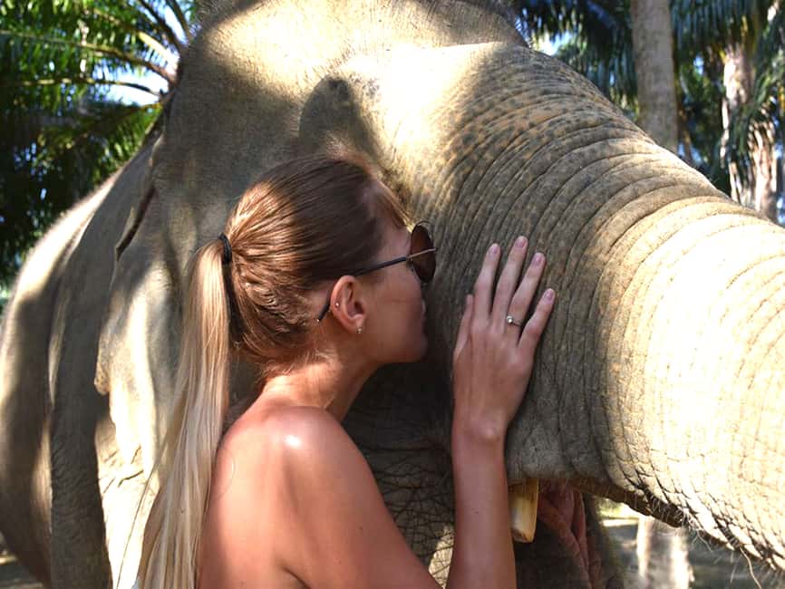 image n.19 of Ko Lanta Yai: Half-Day Ethical Elephant Sanctuary Tour activity in Gulf of Thailand, uploaded by supplier