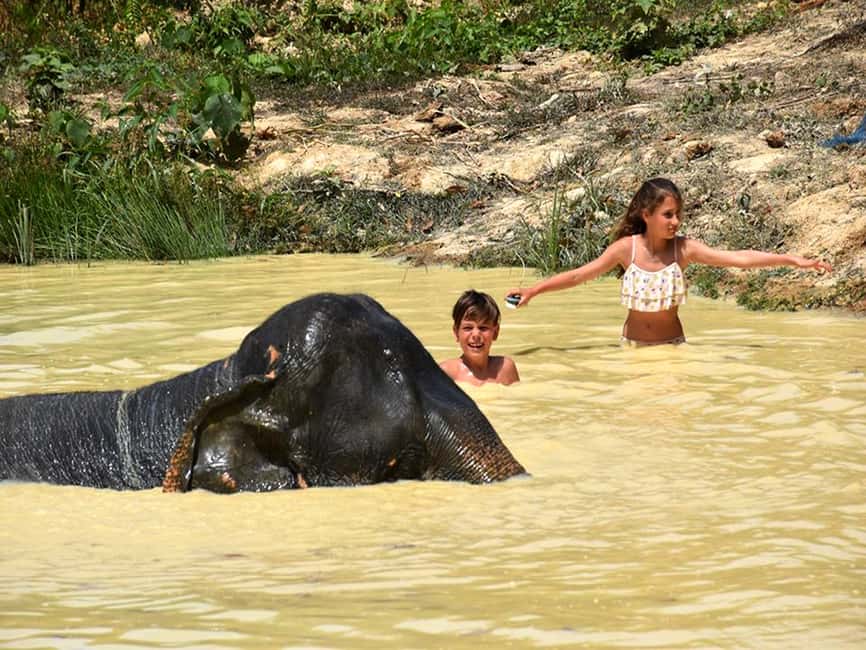 image n.21 of Ko Lanta Yai: Half-Day Ethical Elephant Sanctuary Tour activity in Gulf of Thailand, uploaded by supplier