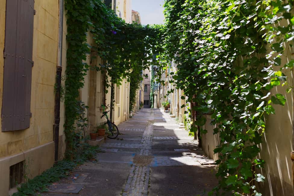 Bild Nr. 8 von Arles: Private Guide Tour - Entdecke Geschichte & Kultur Aktivität in Arles, hochgeladen vom Anbieter