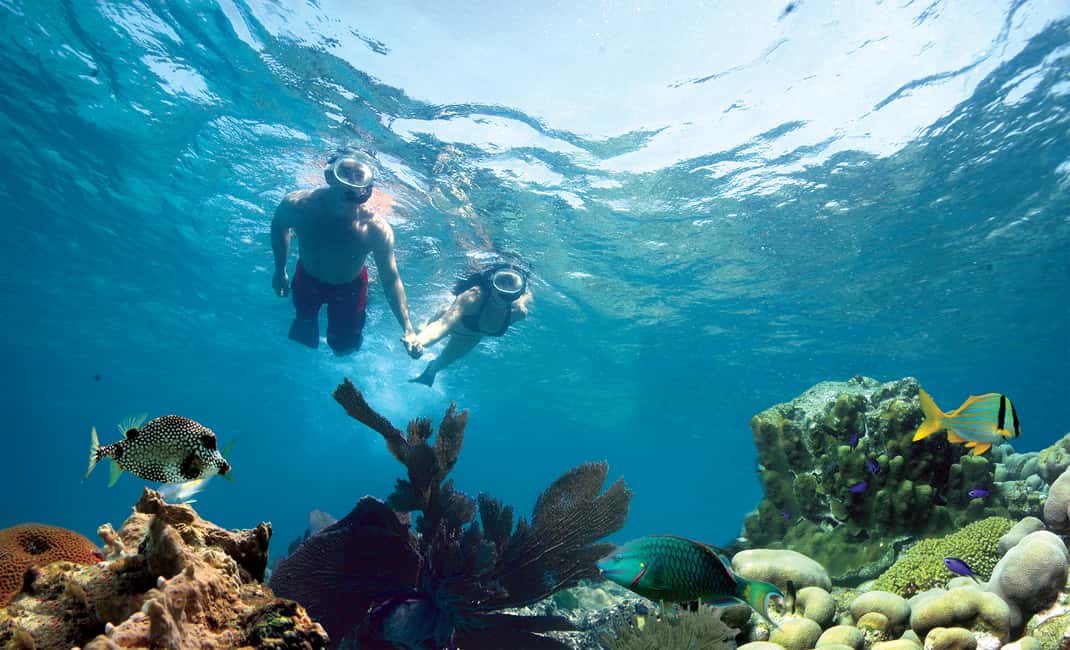 image n.2 of Key West Double Dip: 2-Stop Reef Snorkeling Trip activity in Key West, uploaded by supplier