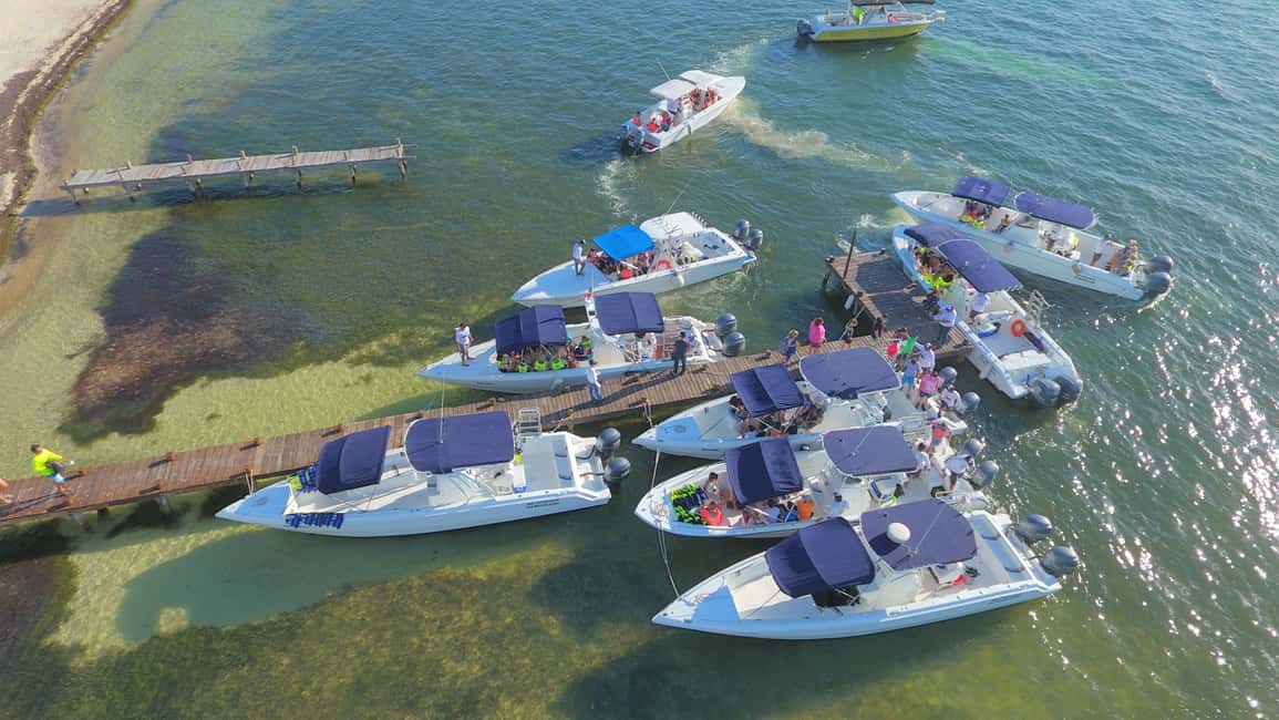 afbeelding n.8 van Cancún of Riviera Maya: walvishaaientour en strand Playa Norte activiteit in Quintana Roo, geüpload door aanbieder