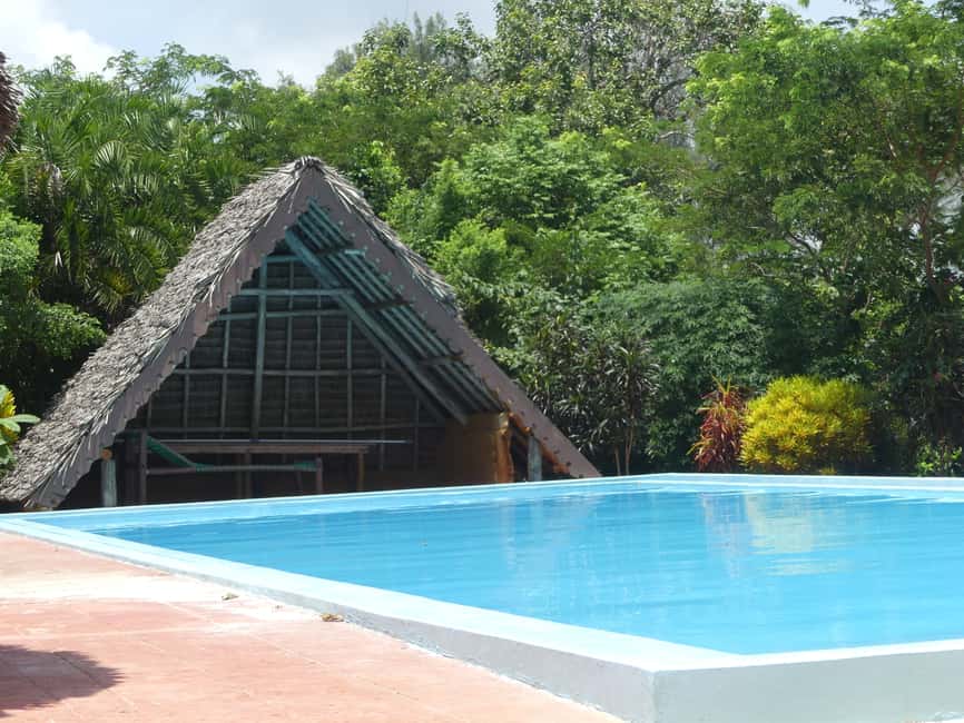 image n.18 of Zanzibar: Jozani Forest National Park and Dolphin Encounter activity in Unguja South Region, uploaded by supplier