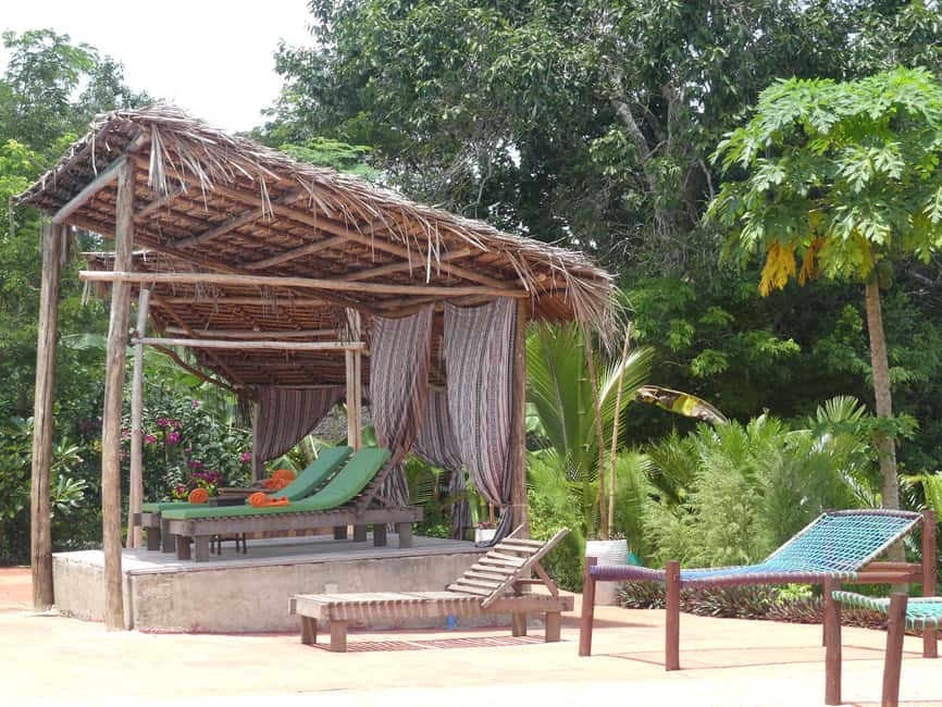 image n.19 of Zanzibar: Jozani Forest National Park and Dolphin Encounter activity in Unguja South Region, uploaded by supplier