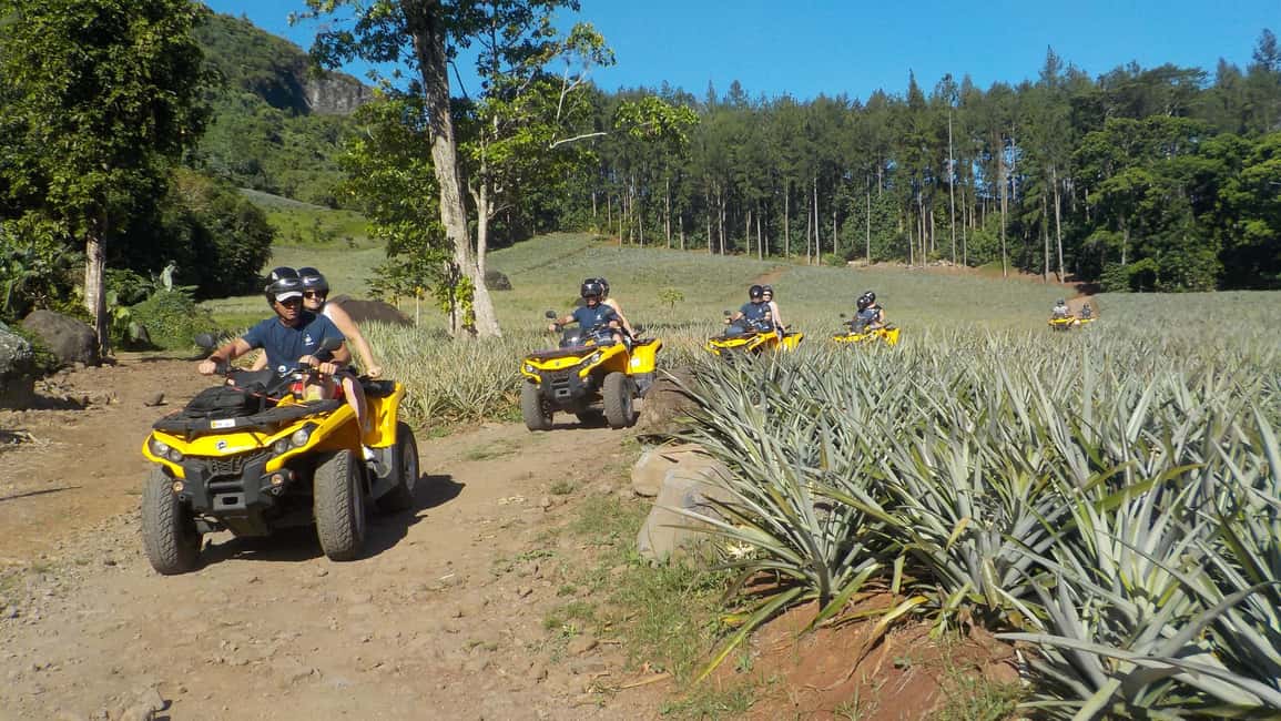 image n.2 of Mo'orea: Guided ATV Nature Tour activity in Leeward Islands, uploaded by supplier