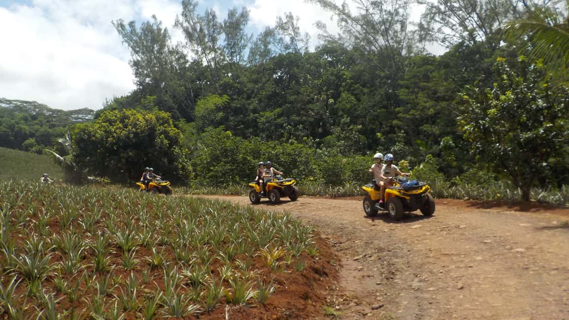 image n.3 of Mo'orea: Guided ATV Nature Tour activity in Leeward Islands, uploaded by supplier