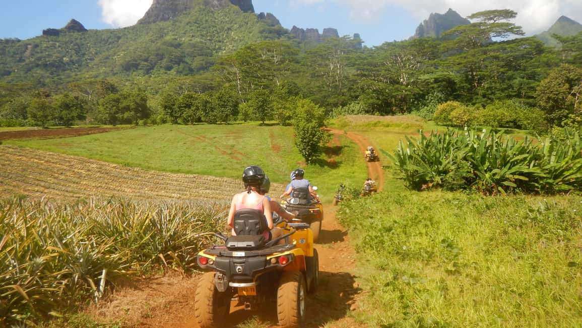 image n.7 of Mo'orea: Guided ATV Nature Tour activity in Leeward Islands, uploaded by supplier