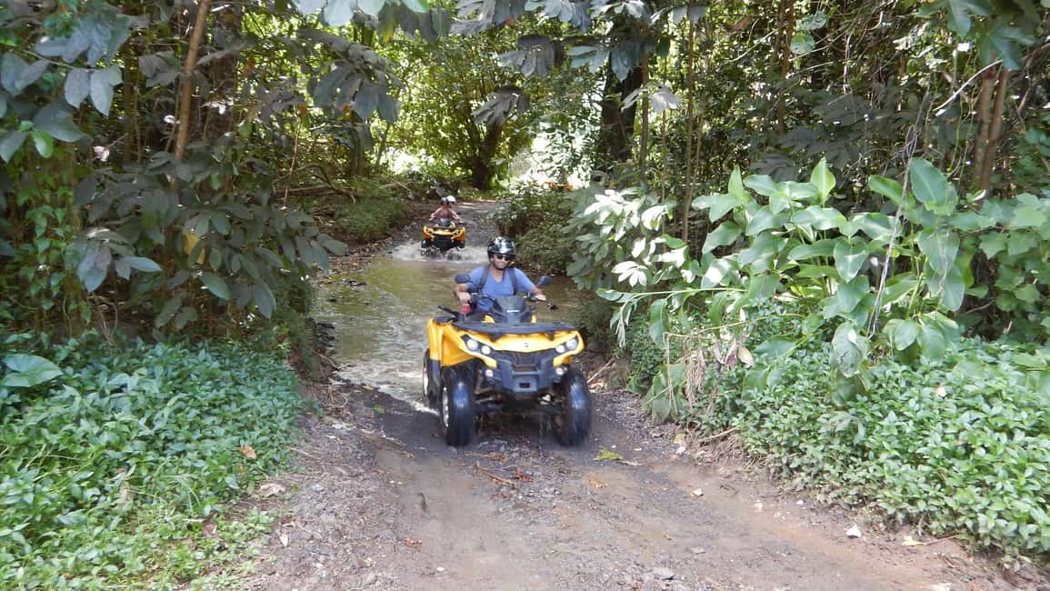image n.4 of Mo'orea: Guided ATV Nature Tour activity in Leeward Islands, uploaded by supplier