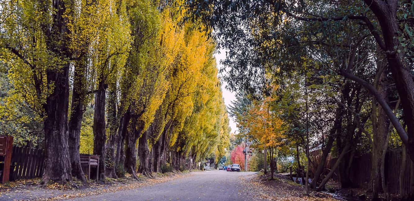 imagem n.8 de De Bariloche: Circuito Chico e passeio pela Colônia Suiza atividade em Região dos Lagos, Argentina, carregada pelo fornecedor