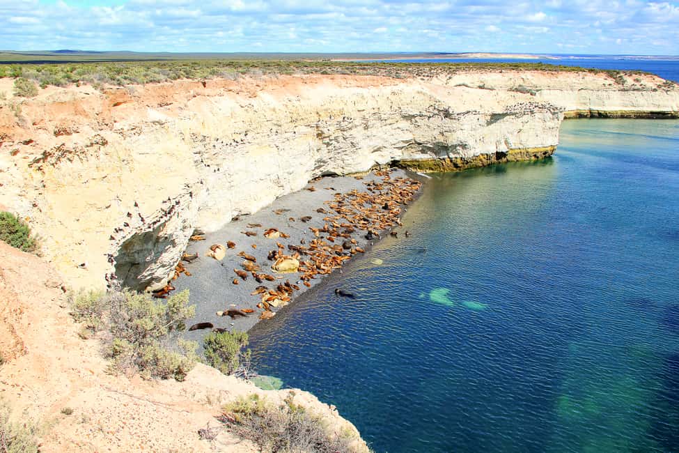 Bild Nr. 14 von Puerto Madryn: Schnorchelausflug mit Seelöwen Aktivität in Puerto Madryn, hochgeladen vom Anbieter
