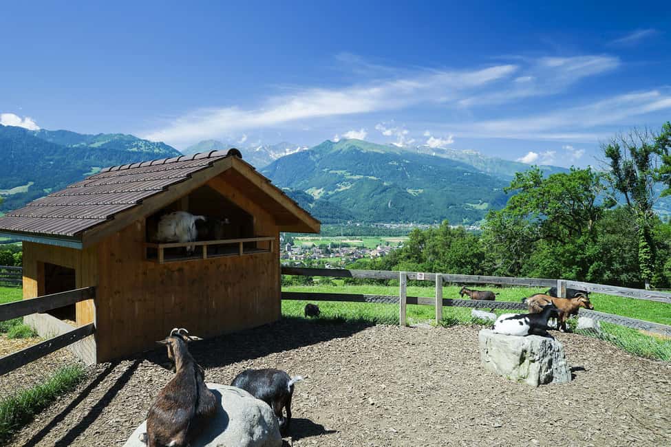 Bild Nr. 5 von Von Zürich aus: Privatreise nach Liechtenstein und ins Heidiland Aktivität in Vaduz, Liechtenstein, hochgeladen vom Anbieter