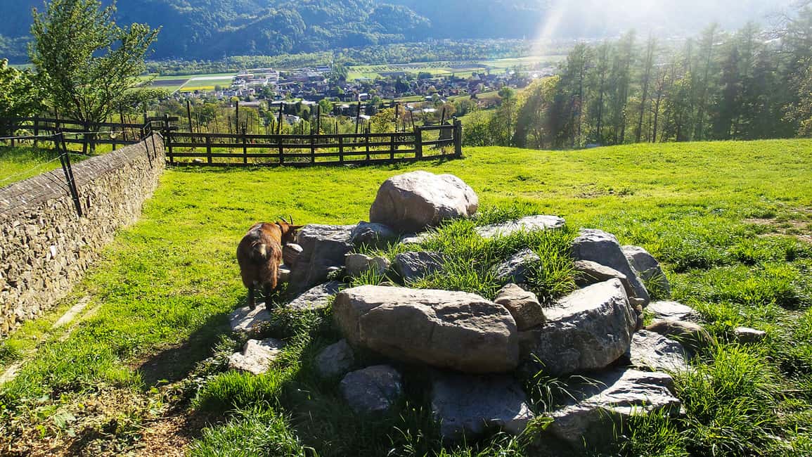 Bild Nr. 8 von Von Zürich aus: Privatreise nach Liechtenstein und ins Heidiland Aktivität in Vaduz, Liechtenstein, hochgeladen vom Anbieter