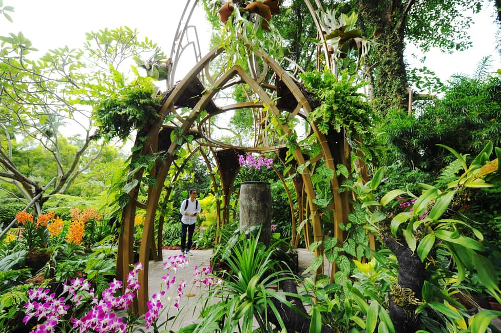 Immagine nº 4 di Singapore: biglietti d'ingresso al giardino nazionale delle orchidee attività a Singapore, caricata dal fornitore