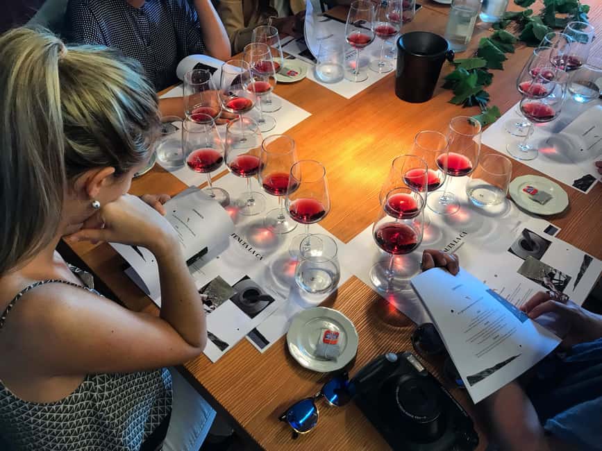 image n.5 of Lake Garda: Wine Tour and Tasting Experience in Bardolino activity in Lombardy, uploaded by supplier