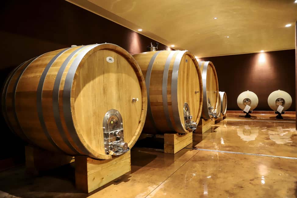 image n.4 of Lake Garda: Wine Tour and Tasting Experience in Bardolino activity in Lombardy, uploaded by supplier