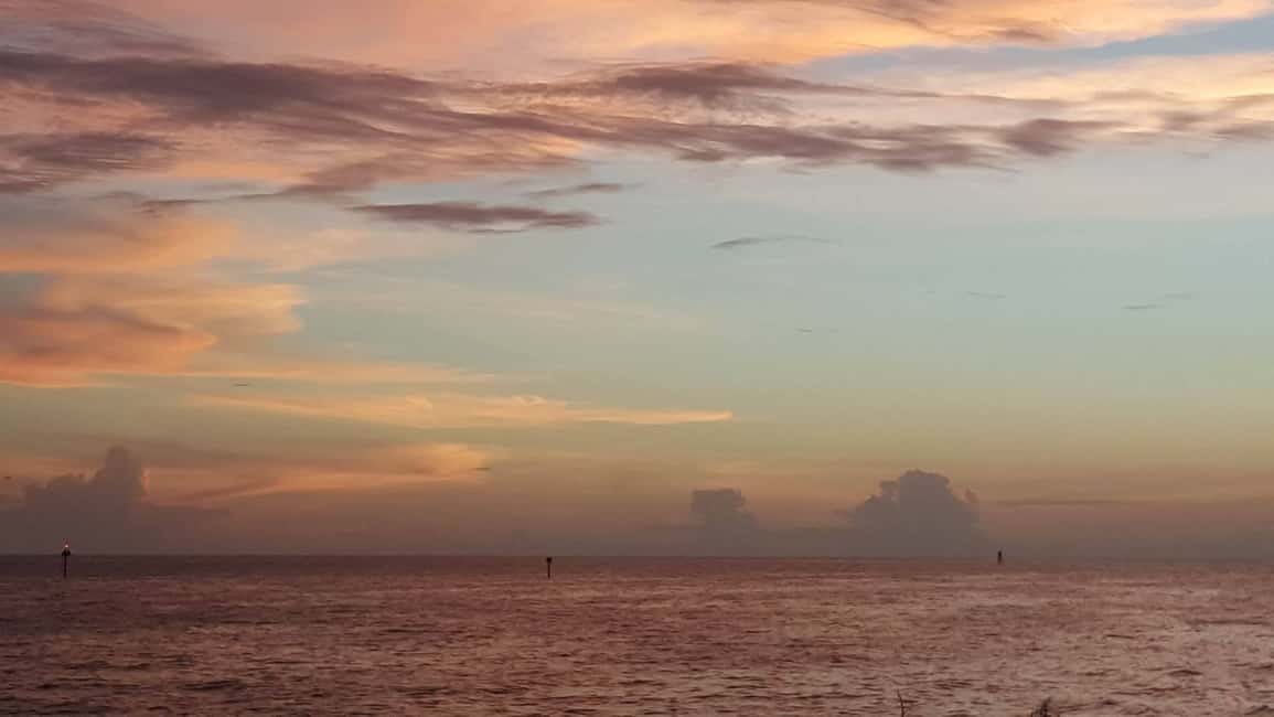 image n.5 of Clearwater: Sunset Celebration Cruise activity in United States, uploaded by supplier