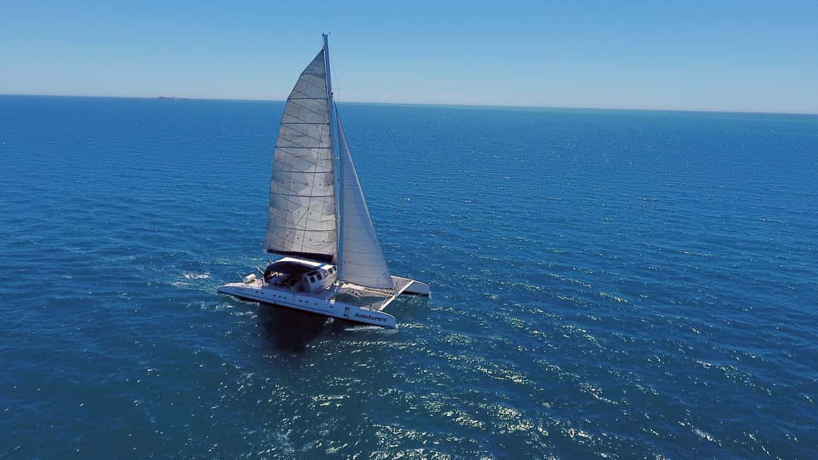 image n.11 of Alicante: 2-Hour Late Afternoon Catamaran Cruise activity in Valencian Community, uploaded by supplier