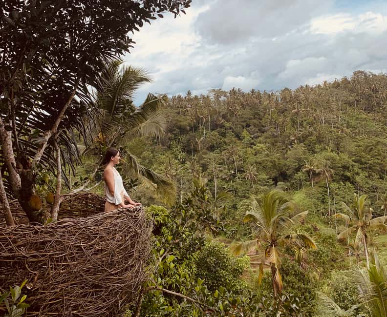 image n.9 of Bali: Swing with Falls, Rice Terrace, & Monkey Forest Option activity in Bali, uploaded by supplier