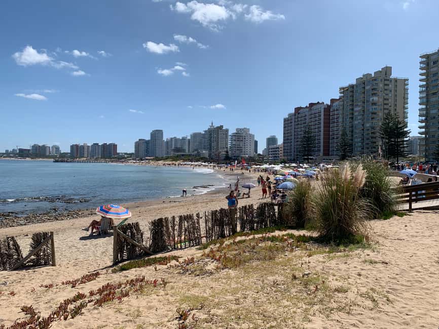image n.3 of From Montevideo: Punta del Este Full-Day Tour with Guide activity in Punta del Este, uploaded by supplier