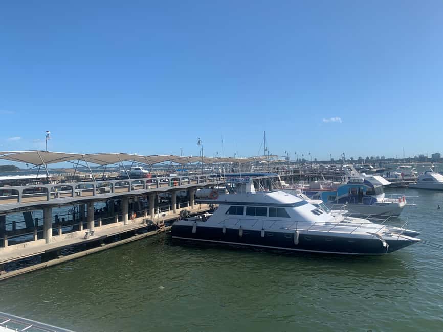 image n.7 of From Montevideo: Punta del Este Full-Day Tour with Guide activity in Punta del Este, uploaded by supplier