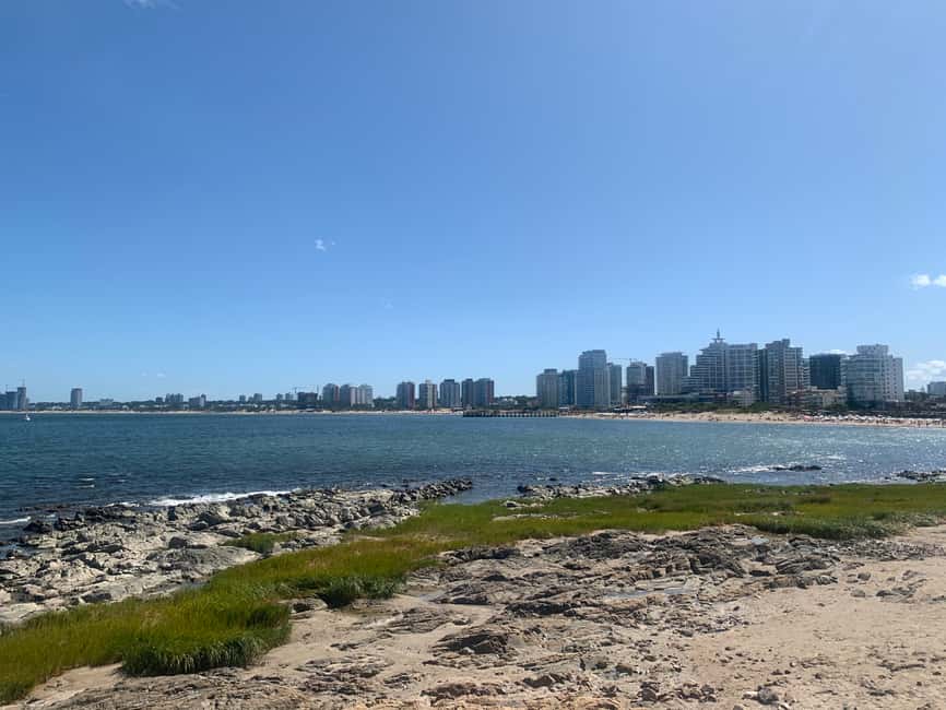 image n.9 of From Montevideo: Punta del Este Full-Day Tour with Guide activity in Punta del Este, uploaded by supplier