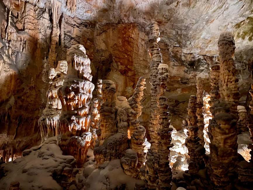 Immagine nº 2 di Da Lubiana: gita di un giorno alle grotte di Postumia attività a Postojna, caricata dal fornitore