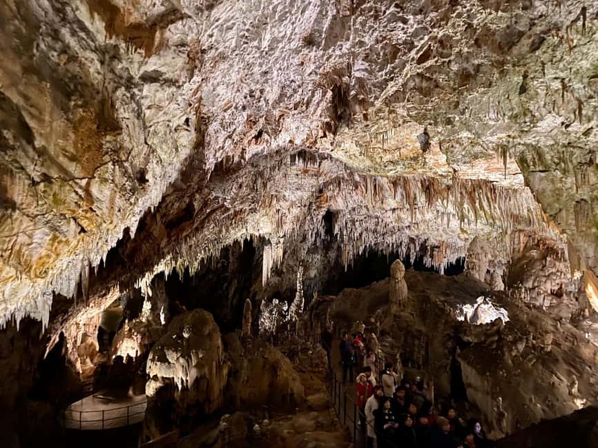 Immagine nº 5 di Da Lubiana: gita di un giorno alle grotte di Postumia attività a Postojna, caricata dal fornitore