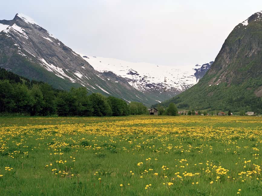 image n.3 of Fjords: Private Trip with Train and Cruise Ride activity in Øvre Eidfjord, uploaded by supplier