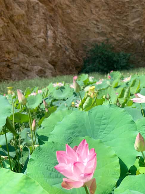 Immagine nº 21 di Muscat: Tour privato di Wadi Shab e Bimmah Sinkhole con pranzo attività a Regione al-Sharqiyya, caricata dal fornitore