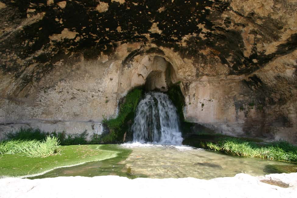 image n.8 of Syracuse: Neapolis Archaeological Park Small Group Tour activity in Syracuse, uploaded by supplier