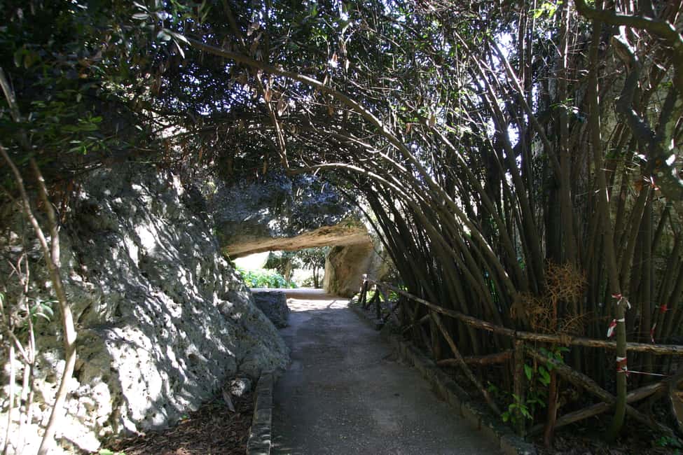 image n.12 of Syracuse: Neapolis Archaeological Park Small Group Tour activity in Syracuse, uploaded by supplier