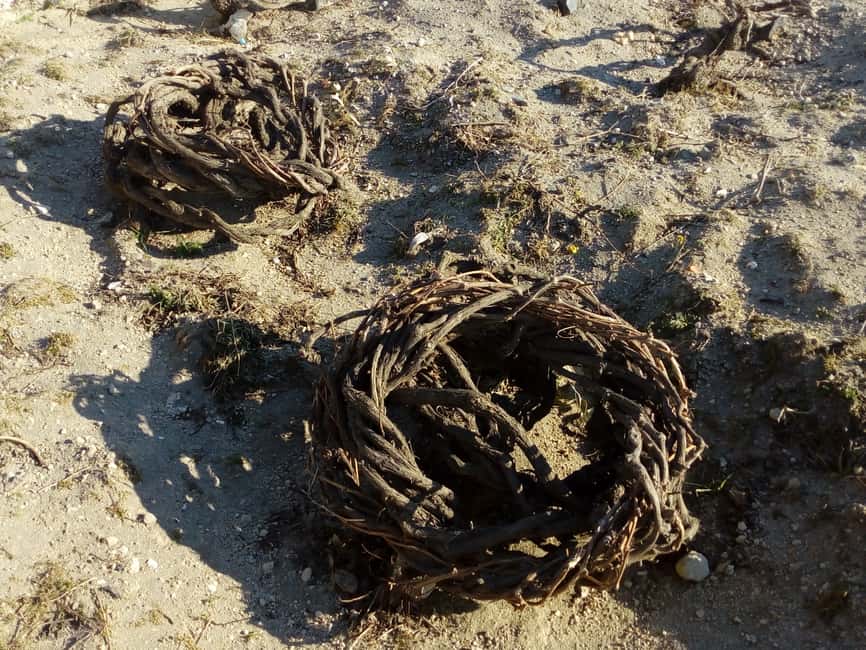 imagem n.9 de Santorini: Visita de degustação de vinhos e observação do pôr do sol atividade em Fira, Santorini, carregada pelo fornecedor