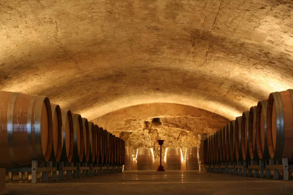 billede nr.3 af aktiviteten Avignon: Heldags vintur rundt Châteauneuf-du-Pape i Avignon, uploadet af udbyder