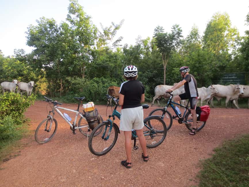 image n.5 of Sukhothai: Historical Park & Countryside Cycling Tour activity in Thani, Thailand, uploaded by supplier